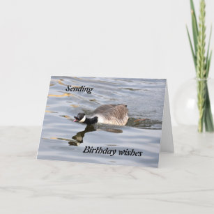 Birthday Card: Canada Goose Card