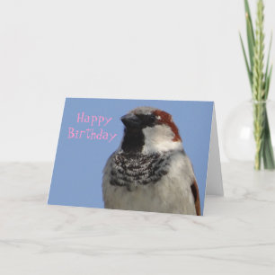 Birthday card cute little bird