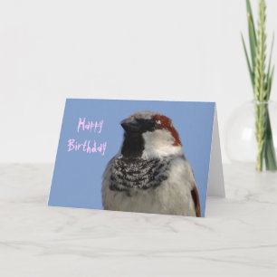 Birthday card cute little bird