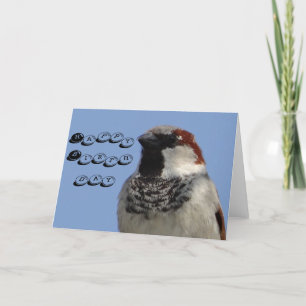 Birthday card cute little bird