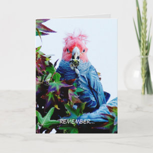 Birthday card featuring Gang Gang Cockatoo (bird)