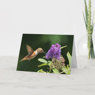 Birthday card featuring hummingbird