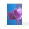 Birthday Card for Daughter -- Orchid