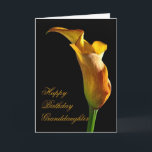Birthday card for granddaughter<br><div class="desc">A stately golden arum lily stands lit from the side . A perfect flower to convey your birthday wishes.</div>