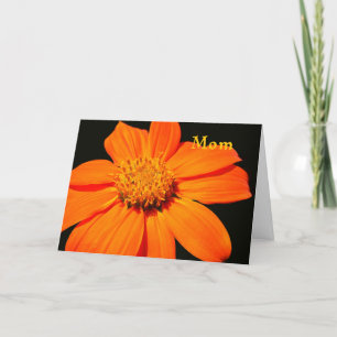Birthday Card for Mom, Big Orange Flower