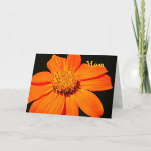 Birthday Card for Mom, Big Orange Flower