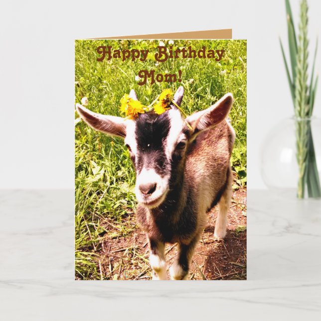 Birthday Card for Mom - From Favourite Kid (Goat) (Front)