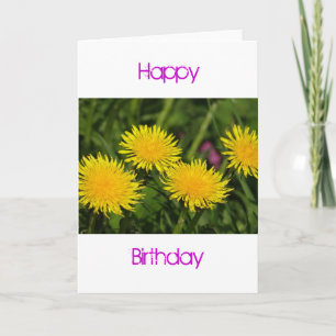 Birthday card four dandelions