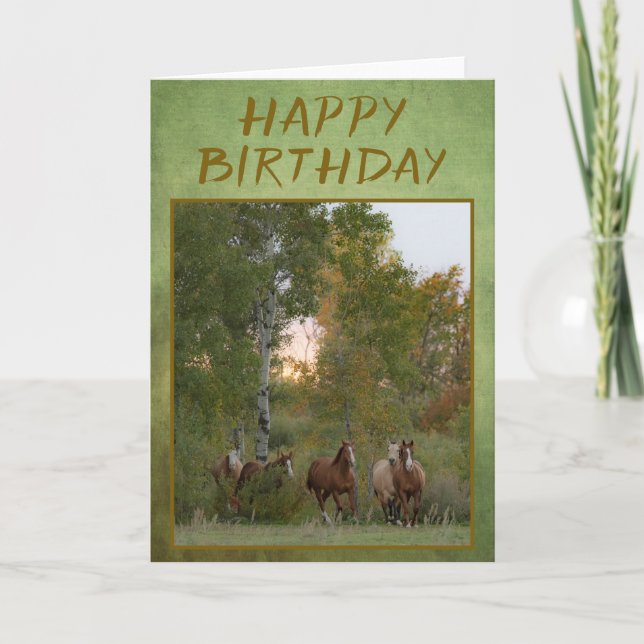 Birthday Card "Horses running" (Front)