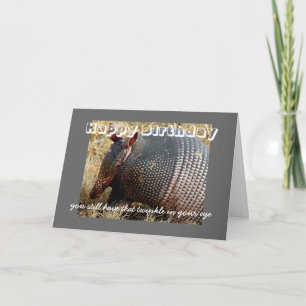 birthday card humor armadillo photo art