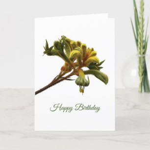 Birthday Card - Kangaroo Paw