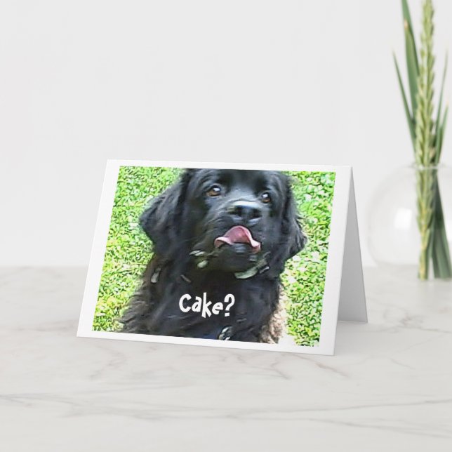 Birthday Card Newfoundland dog humor (Front)