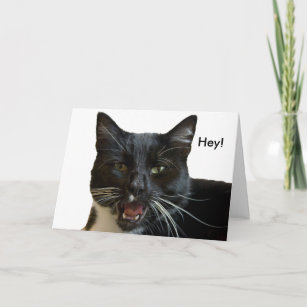 Birthday Card: Or Else Cat Card