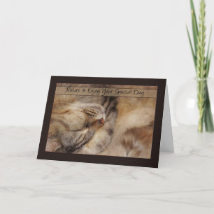 Birthday Card Relax With Sleeping Maine Coon Cat