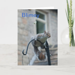 Birthday Card: Squirrel & Butterfly Card