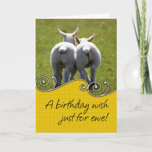 Birthday Card - Two Baby Lambs
