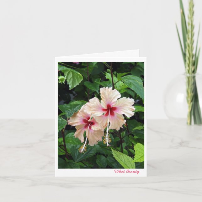 Birthday card-What Beauty Card (Front)