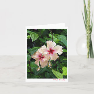 Birthday card-What Beauty Card