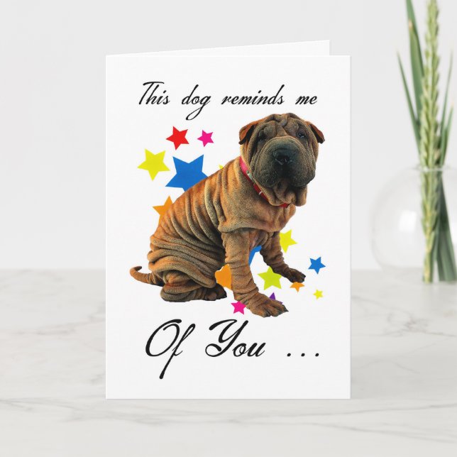 birthday card with cute shar pei - humourous card (Front)