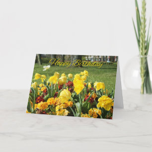 Birthday Card With Digitally Painted Flowers