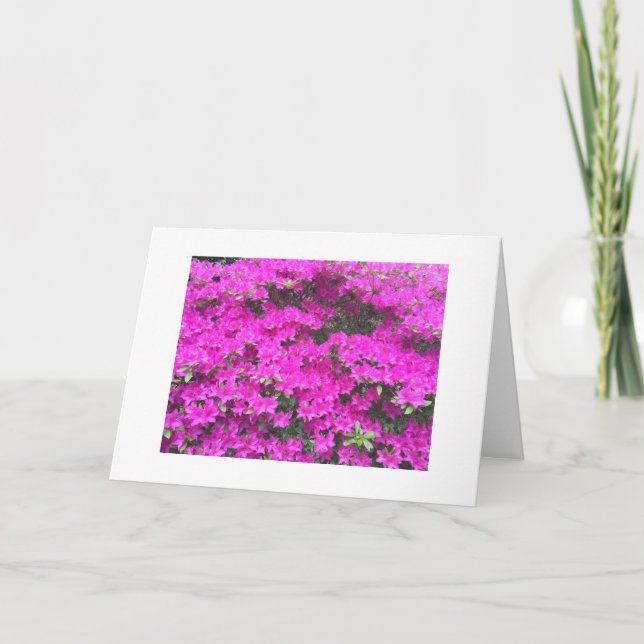 Birthday card with flowers (Front)