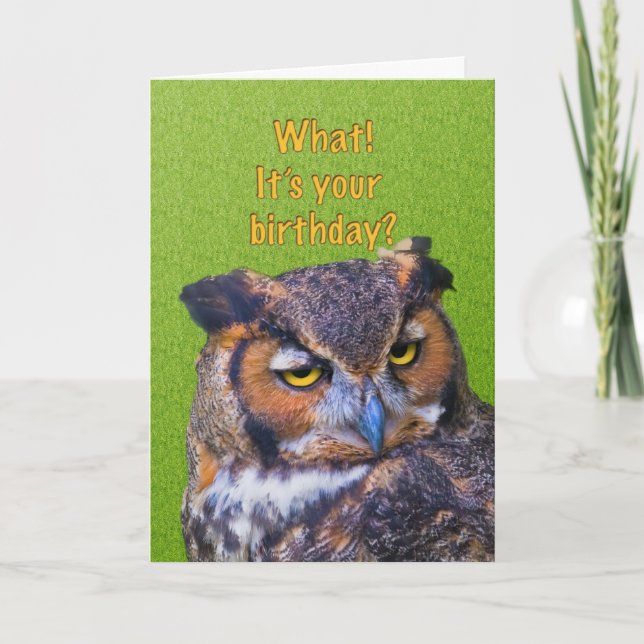 Birthday Card with Great Horned Owl (Front)