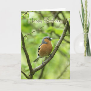 Birthday Card With Male Chaffinch (Fringilla coele