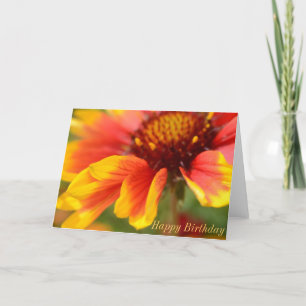 Birthday Card with Orange Flower