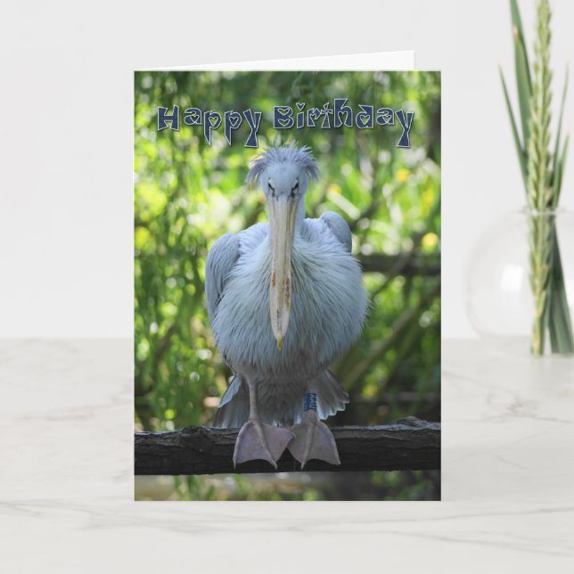 Birthday Card with pelican (Front)