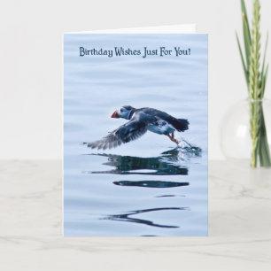 Birthday Card with Puffin