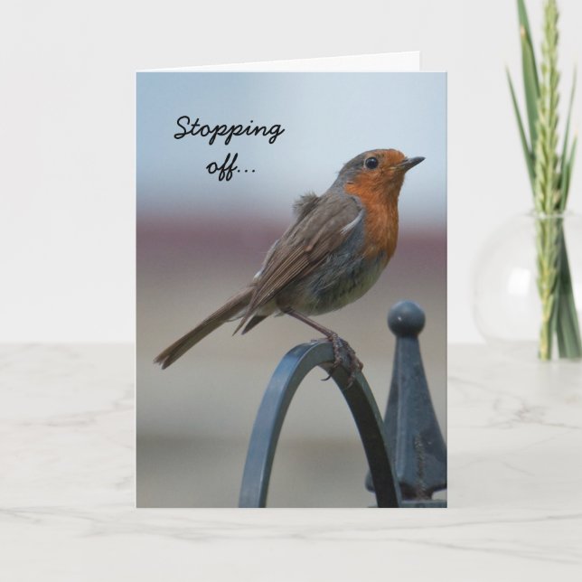 Birthday Card: Young British Robin Card (Front)