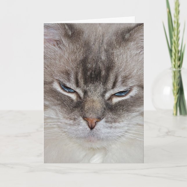 Birthday Cat Card (Front)