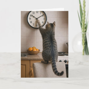 Birthday Cat for Getting Older Humor Card