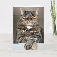 Birthday Cat Funny Tabby Grumpy Green Eyes Squint