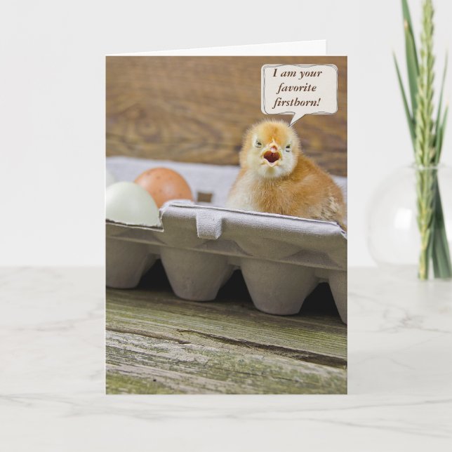 Birthday Chick in egg carton from firstborn Card (Front)