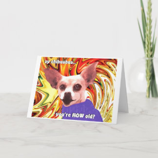 birthday chihuahua card
