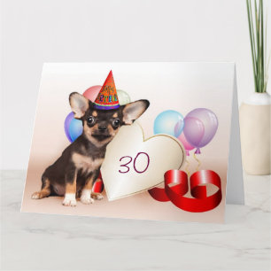 Birthday Chihuahua dog Card