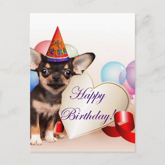 Birthday Chihuahua Dog Postcard Zazzle Ca