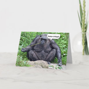 Birthday Chimpanzee humour Card