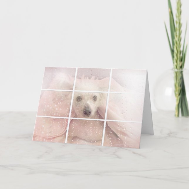 Birthday Chinese Crested dog Card (Front)