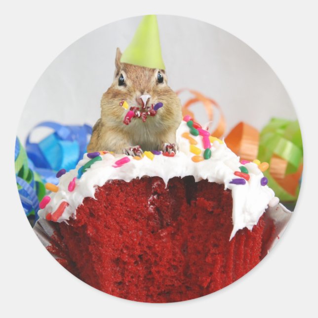 Birthday Chipmunk Classic Round Sticker (Front)