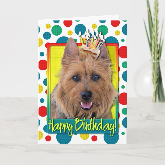 Birthday Cupcake - Australian Terrier Card (Front)