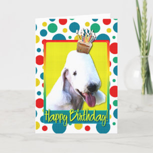 Birthday Cupcake - Bedlington Card