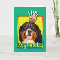 Birthday Cupcake - Bernese Mountain Dog