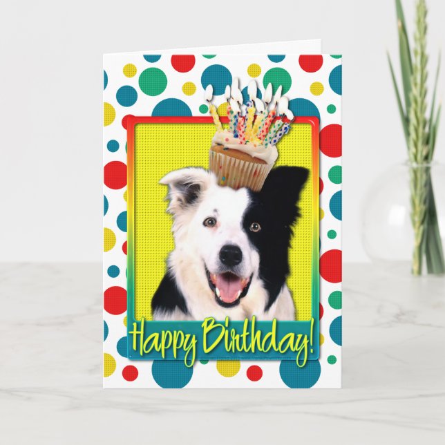 Birthday Cupcake - Border Collie Card (Front)