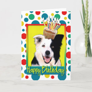 Birthday Cupcake - Border Collie Card