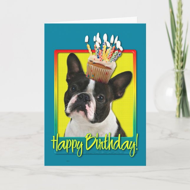 Birthday Cupcake - Boston Terrier Card (Front)