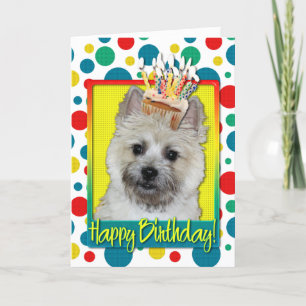 Birthday Cupcake - Cairn Terrier - Teddy Bear Card