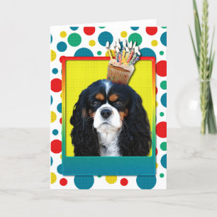 Birthday Cupcake - Cavalier - Tri-Colour Card