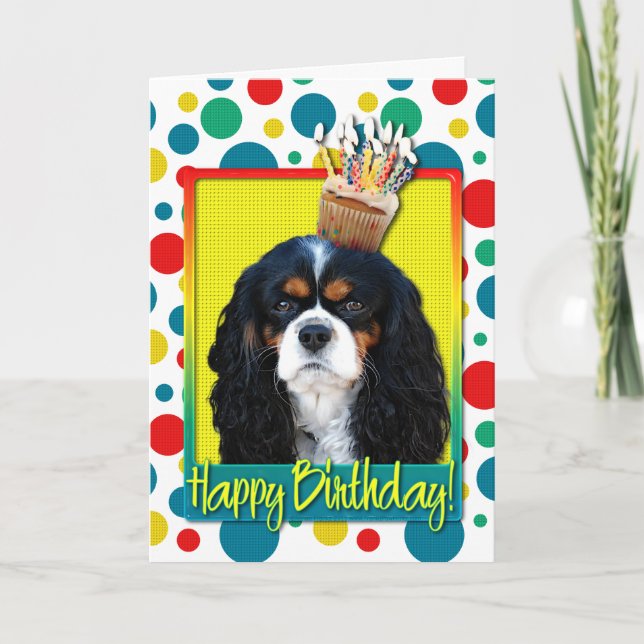 Birthday Cupcake - Cavalier - Tri-Colour Card (Front)